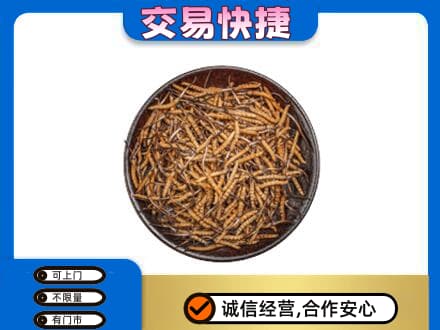 定西市高价回收散虫草